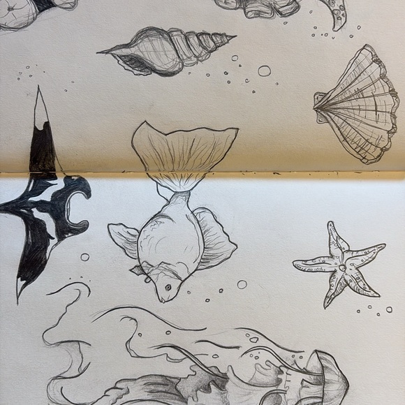 Meet your Posher, Charlie - Picture 1 of 1